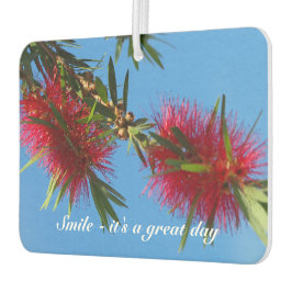 Ambientador Crea tu propio filtro de aire