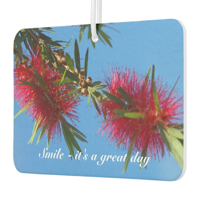 Ambientador Crea tu propio filtro de aire (Izquierda)