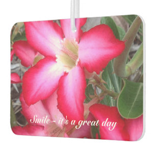 Ambientador Crea tu propio filtro de aire