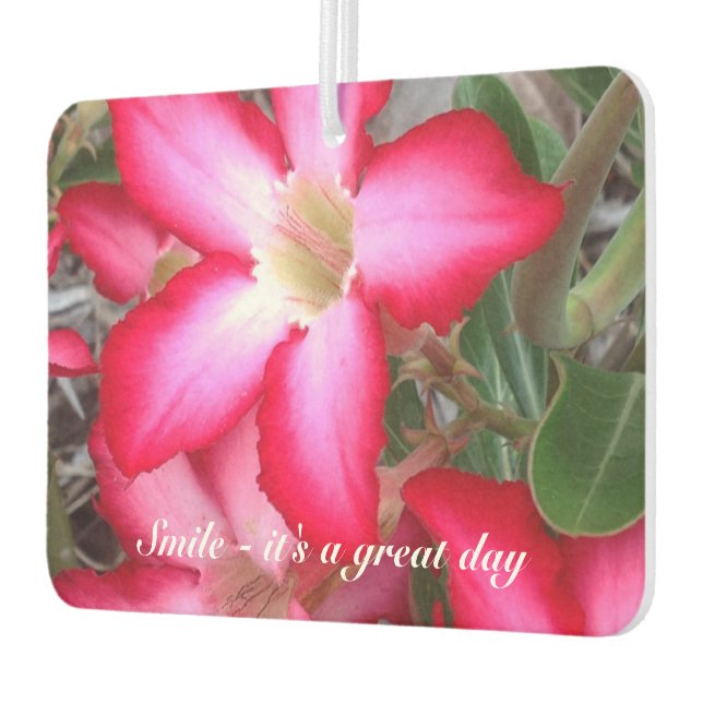 Ambientador Crea tu propio filtro de aire (Izquierda)