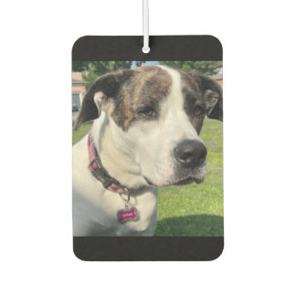 Ambientador Crear el propio