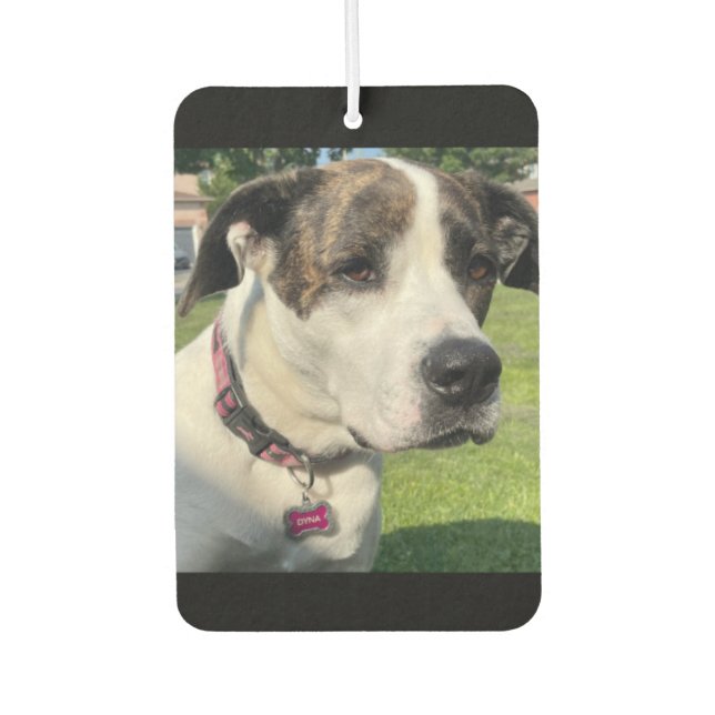 Ambientador Crear el propio (Anverso)