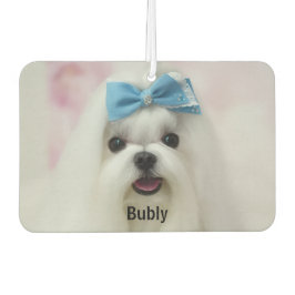 Ambientador Custom Photo Text Logo Personalized Branding 