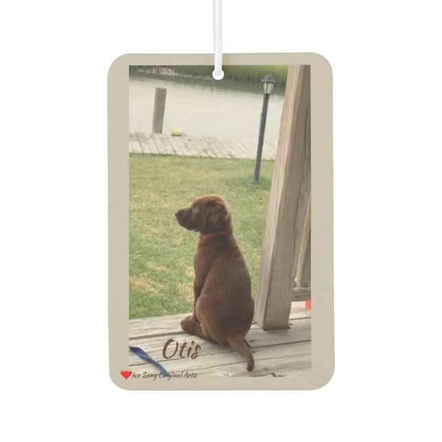 Ambientador Cute Dog Surveillance Backyard and Creek (Anverso)