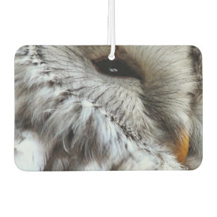 AMBIENTADOR CUTE OWL