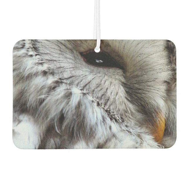 AMBIENTADOR CUTE OWL (Anverso)