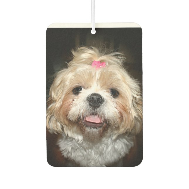 Ambientador Cute Shih Tzu (Anverso)
