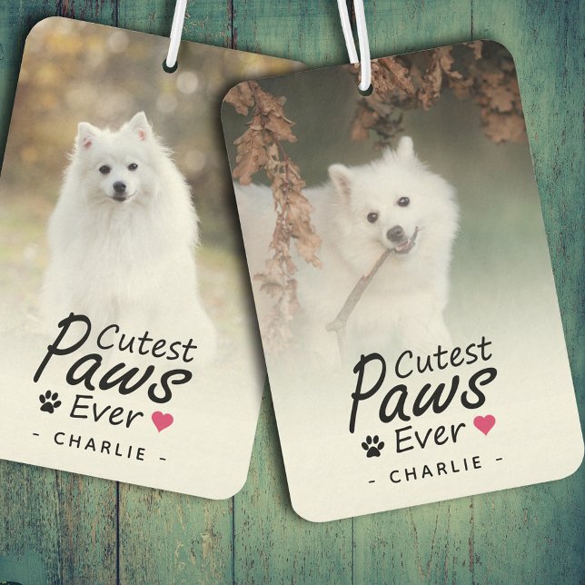 Ambientador Cutest Paws Ever Pet Photo Dog Lover Keepsake (Subido por el creador)