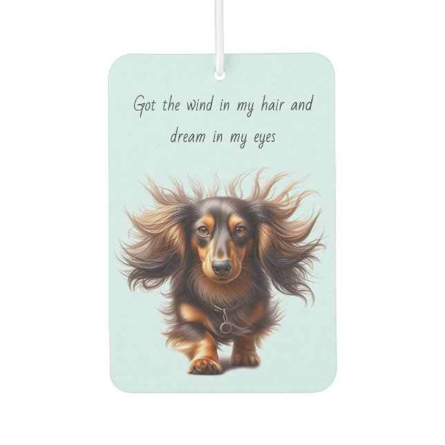 Ambientador Dachshund de pelo largo (Anverso)