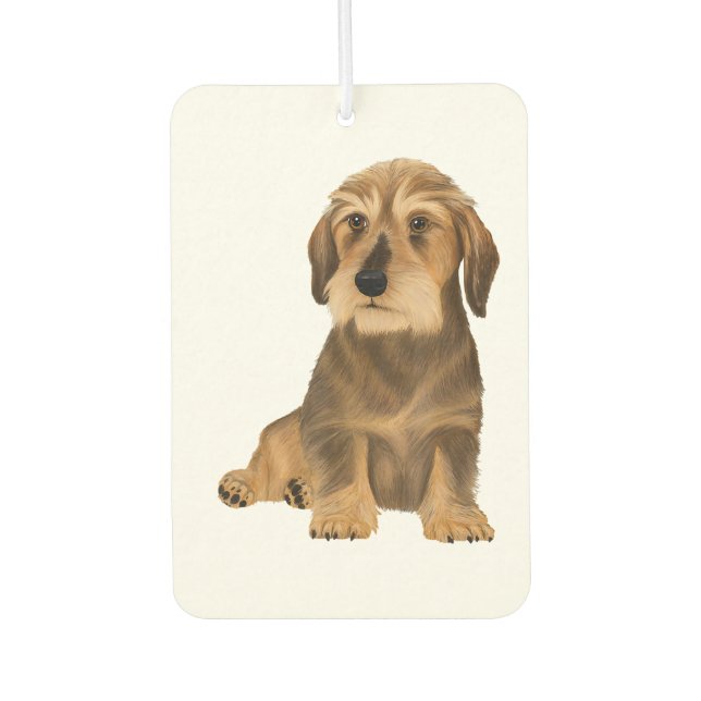 Ambientador Dachshund Sitting Dog (Anverso)