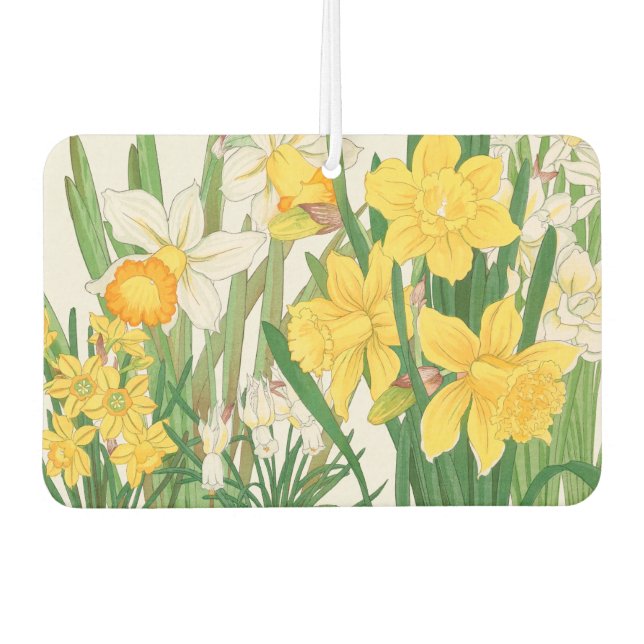 Ambientador Daffodil Woodblock Painting, Tanigami Kônan, 1917 (Anverso)