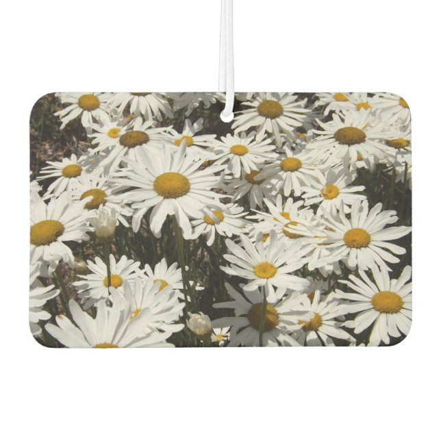 Ambientador Daisies Air Freshener (Anverso)