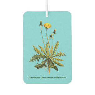 Ambientador Dandelion On
