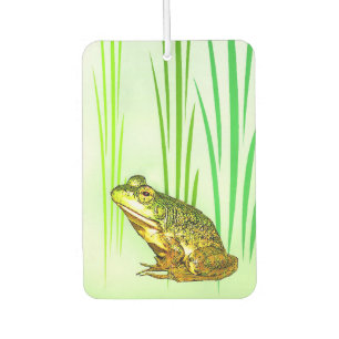 Ambientador de aire de princesa Charming Frog