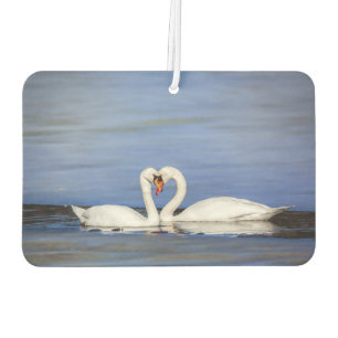 Ambientador de aire del cisne del amor del