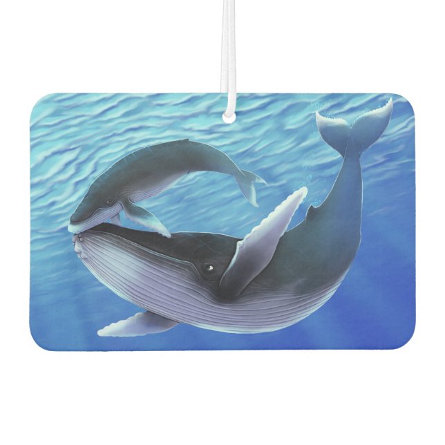 Ambientador de ballenas jorobadas (Anverso)