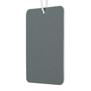 Ambientador de Carro Gris Carbón con Fragancia Pre