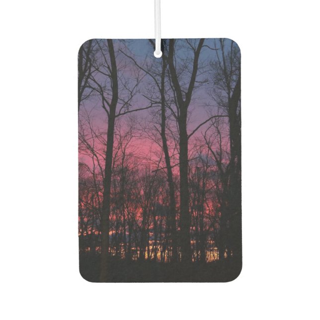 Ambientador de coche Michigan Sunset (Anverso)