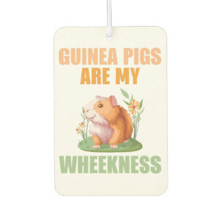 Ambientador de coche Wheekness