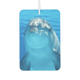 Ambientador Delfín Cute Sonriente Océano Delfín Lover
