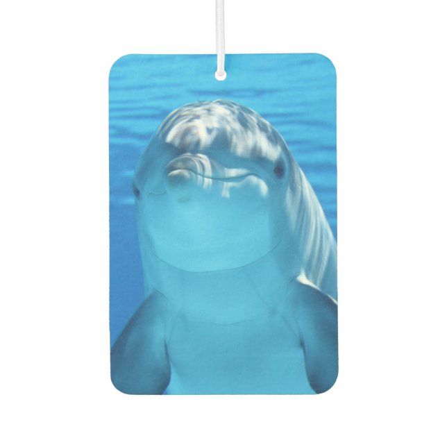 Ambientador Delfín Cute Sonriente Océano Delfín Lover (Anverso)