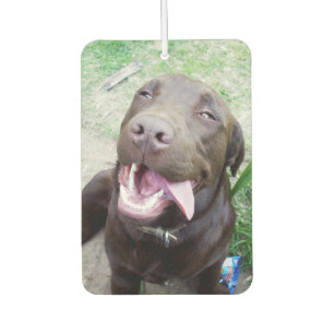 Ambientador Delicias de Goofy: Cachorro Labrador Chocolate Mar