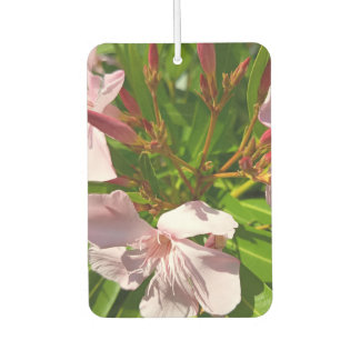 Ambientador Desodorante de aire para coche floral de oleandro