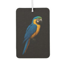 Desodorantes para coche Black 4 Luxe, Guacamayo az