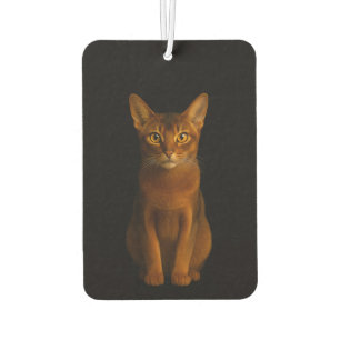 Ambientador Desodorizadores de aire para coche Black 4 Luxe, B