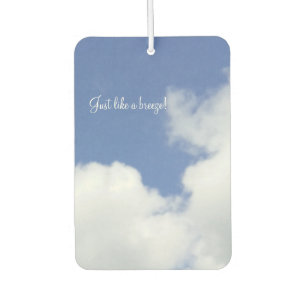 Ambientador Diseñador Air Freshener