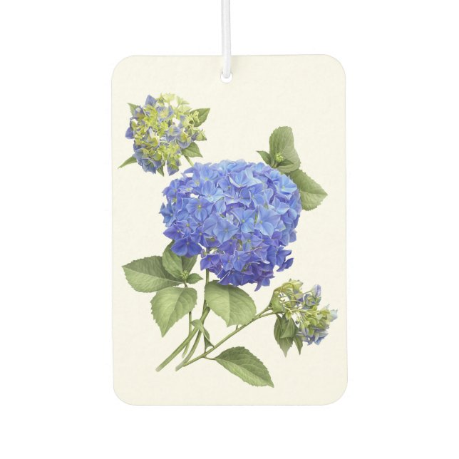Ambientador Diseño de arte botánico de flores de hidrangea azu (Anverso)