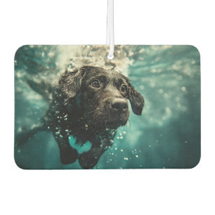 Ambientador Diseño de cachorro labrador nadando bajo el agua