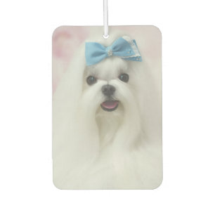 Ambientador Diseño minimalista moderno de perro personalizado