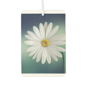 Ambientador diseño moderno y colorido de personalizable elegan