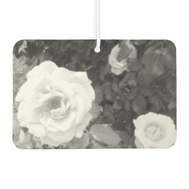 Ambientador diseño y arte del pintor (Anverso)