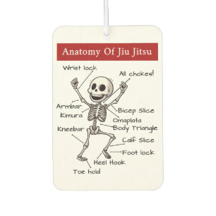 Ambientador Divertida Anatomía De La Técnica De Presentación D