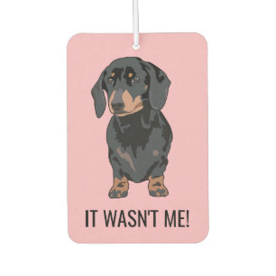 Ambientador Divertido, no fui yo Mascota Dachshund Dog
