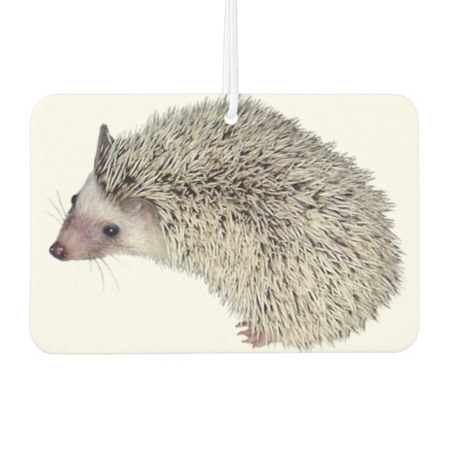 Ambientador DIY Hedgehog air freshener (Anverso)