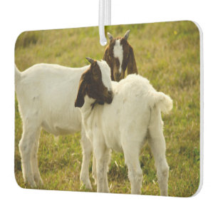 Ambientador Dos cabras
