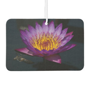 Ambientador Dragonfly morado de Lotus Waterlily