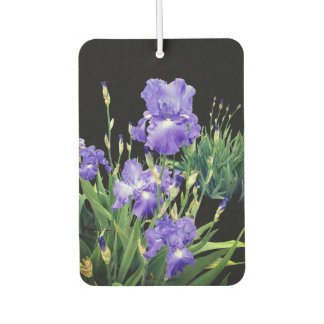 Ambientador Dunkelblaue Irisblüten
