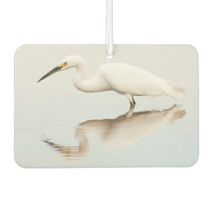 Ambientador Egret en el estanque