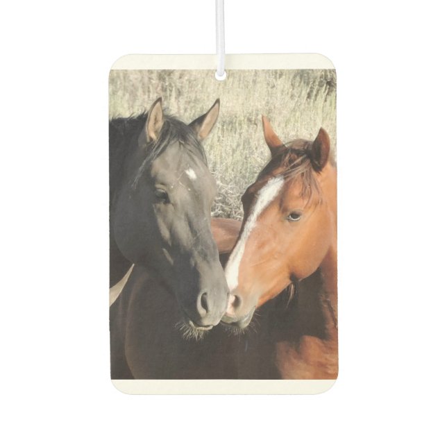 Ambientador El amor está en el aire (Anverso)