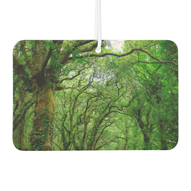 Ambientador El bosque de Palas de Rey (Anverso)