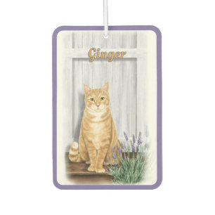 Ambientador El gato Tabby Naranja de la puerta de lavanda pers