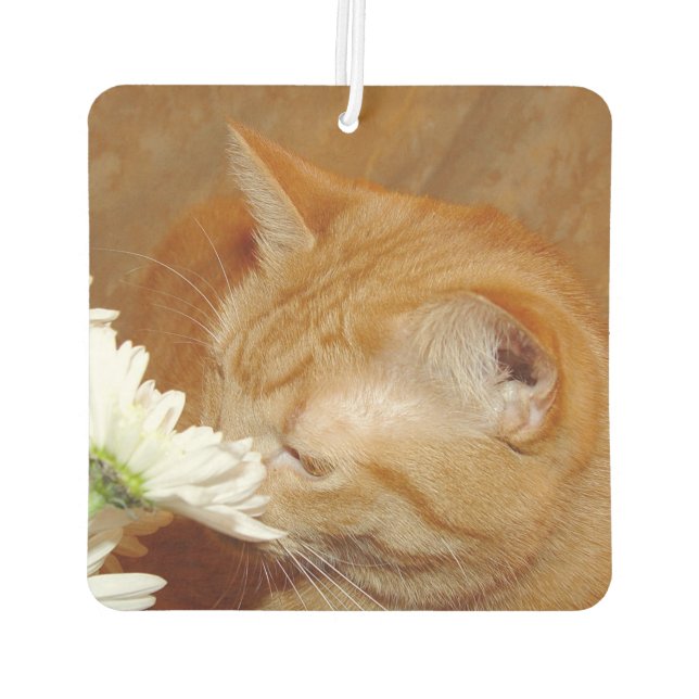 Ambientador El gato tabby naranja huele las flores (Reverso)