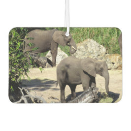 Ambientador Elephant Air Freshener