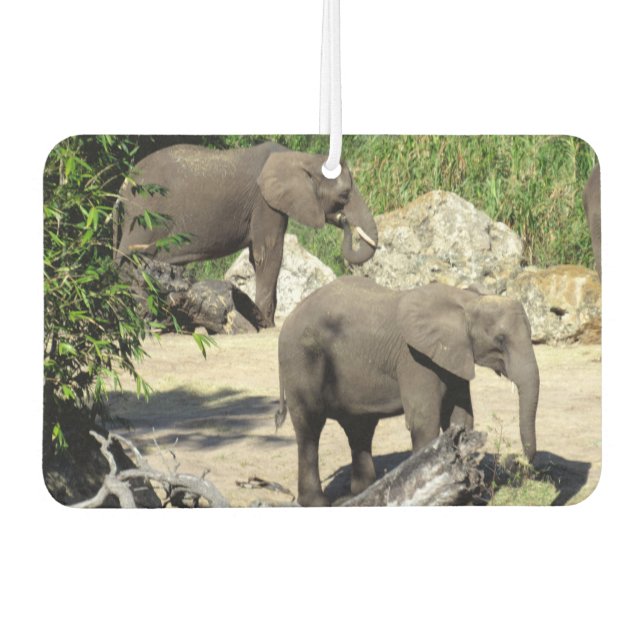 Ambientador Elephant Air Freshener (Anverso)