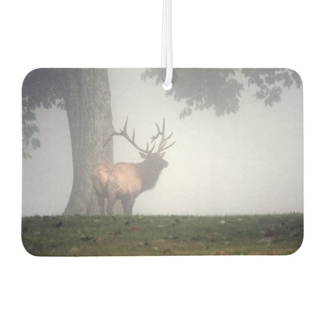 Ambientador Elk Air Freshener (Anverso)