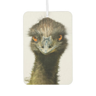 Ambientador Emu Look